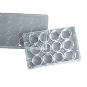 12-Wells Celkweek Multiwell Platen