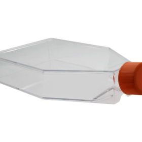 175cm² Celkweekflessen | Schroefdop