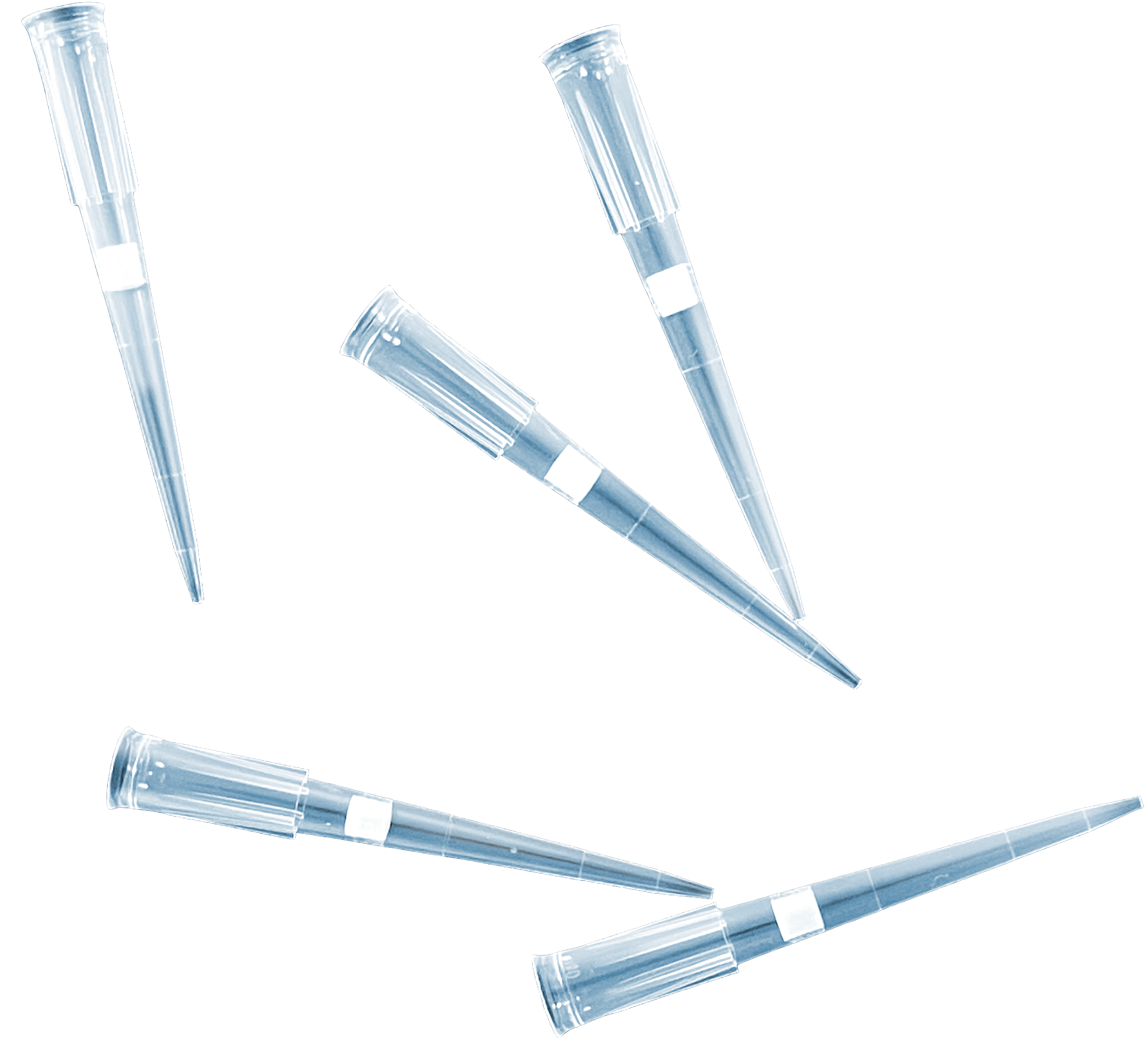 pipetpunt met filter
