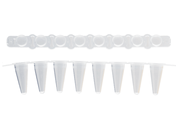 PCR strip 0.1mL 8-strip tubes, Optical flat cap, Naturel