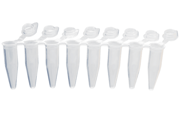PCR strip 0.2mL 8-strip tubes, Bevestigde optical flat cap, Naturel