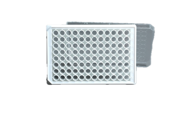 96-Wells Celkweek Microplaten | Wit met Transparante Bodem | Advanced Absorptie