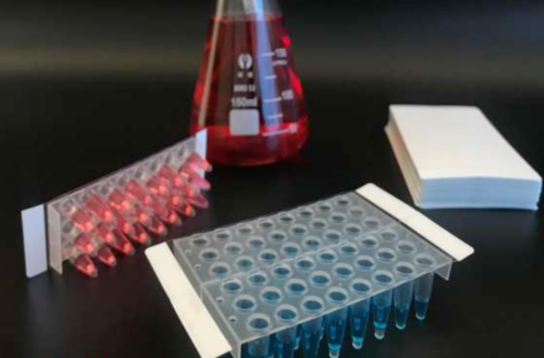 Optische qPCR-Folie 24/48-Well | Drukgevoelig