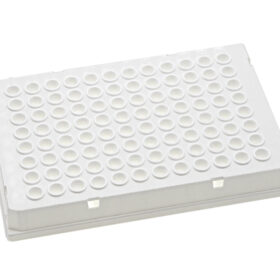 0.1mL PCR Plaat, 96-wells, Full-Skirt, Clear Tube + Wit Frame