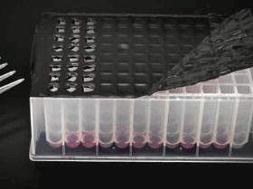 Hitteverzegelingsfolie (Zwart Aluminium) | 110 µm